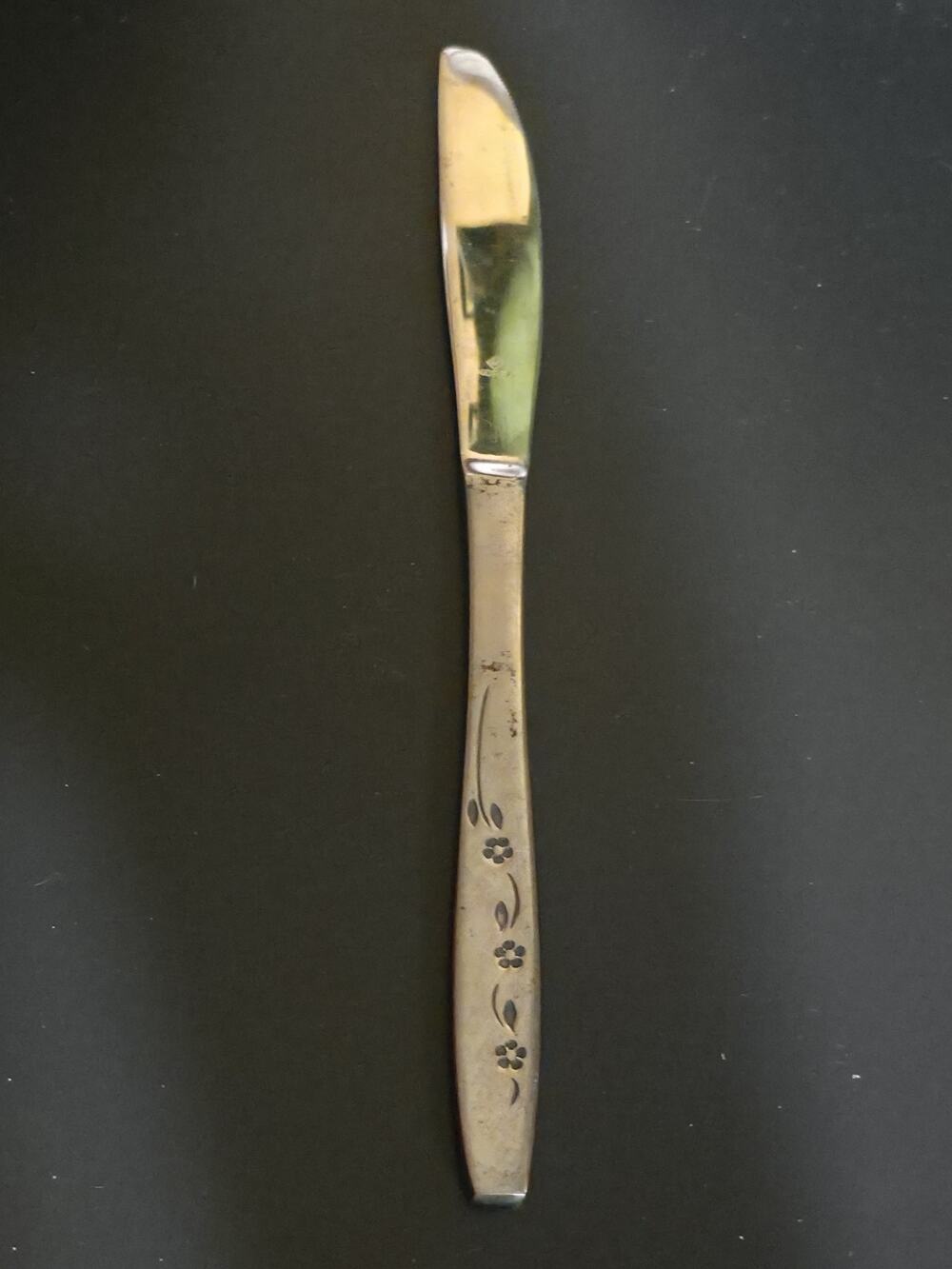 Vintage Oneida Community Stainless Dinner Knife Triana Flower Vine Pattern